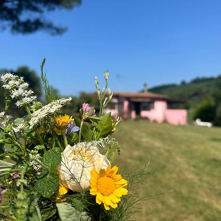 Agriturismo Campolungo Sant'Ermo Zewnętrze zdjęcie