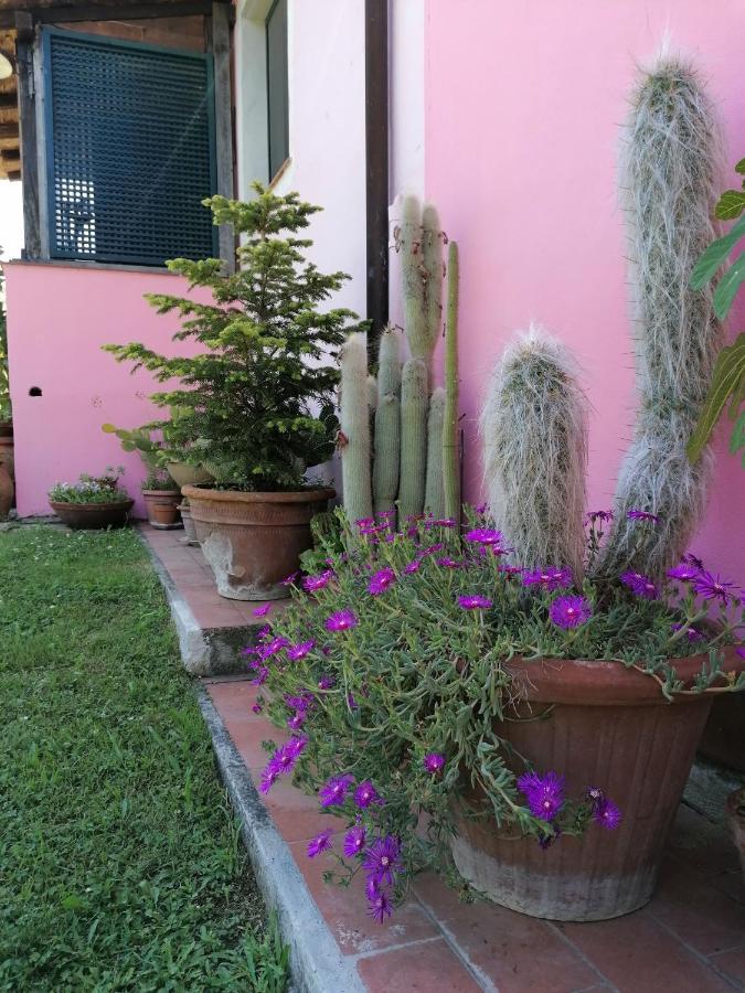 Agriturismo Campolungo Sant'Ermo Zewnętrze zdjęcie